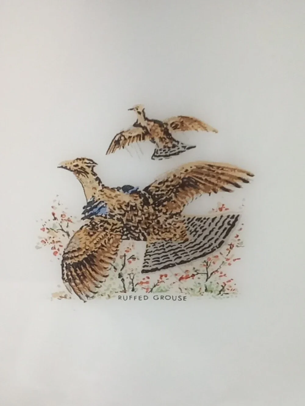 White Wildlife Dinner Plate Oven Proof Fire King with Game Bird Motif